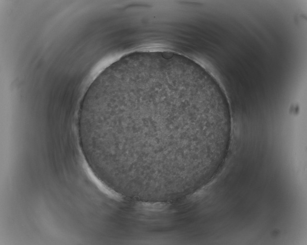 X0000111251429200907161356