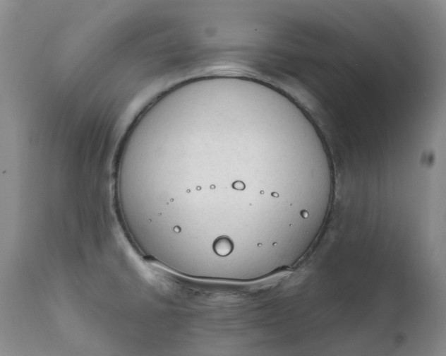 X0000111251430200907161356