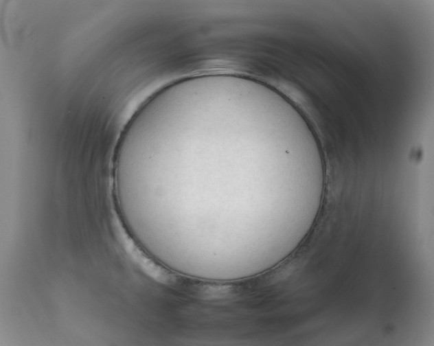 X0000111251431200907161356