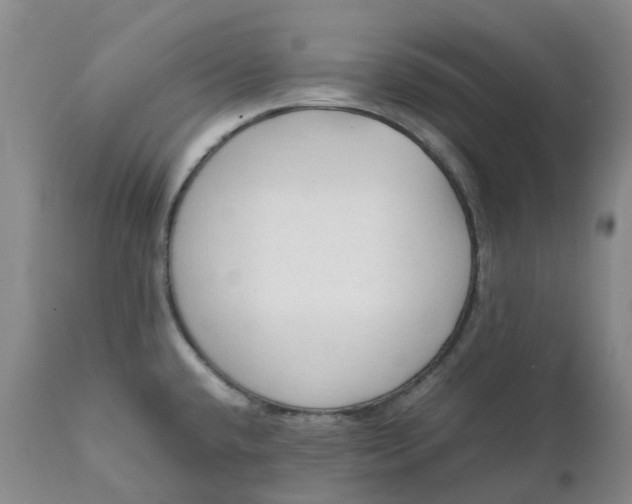 X0000111251432200907161356