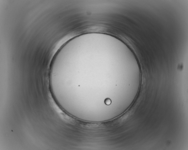 X0000111251434200907161356