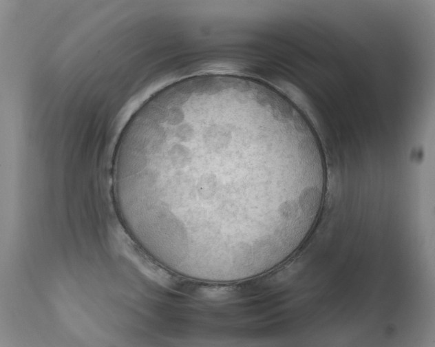 X0000111251435200907161356