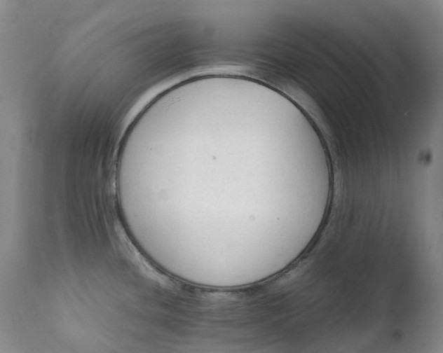 X0000111251436200907161356