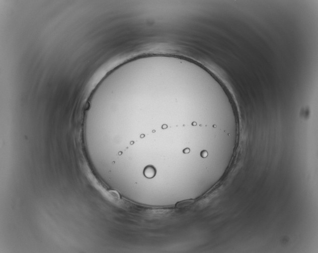 X0000111251437200907161356