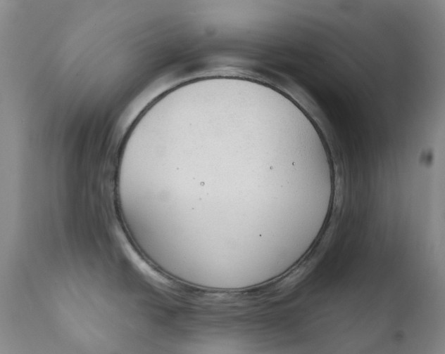 X0000111251438200907161356