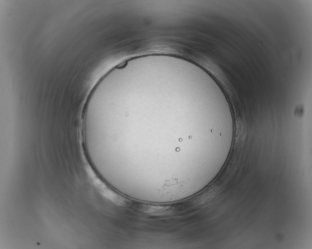 X0000111251439200907161356