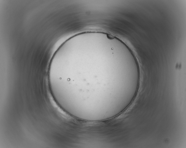 X0000111251440200907161356