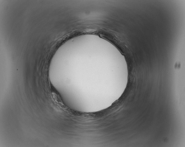 X0000111251441200907161355