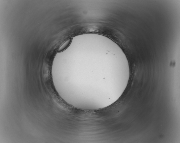 X0000111251442200907161355