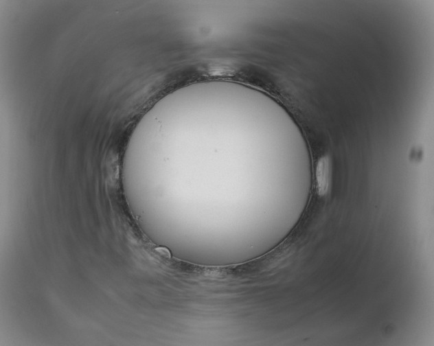 X0000111251443200907161355