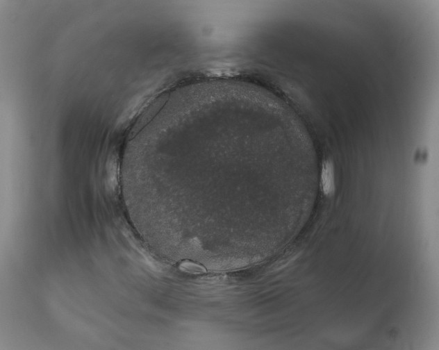 X0000111251444200907161355