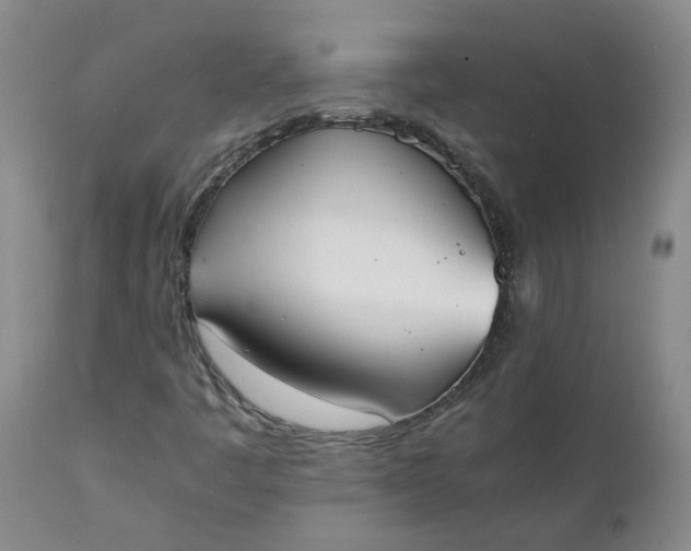 X0000111251445200907161355