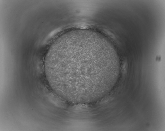 X0000111251446200907161355