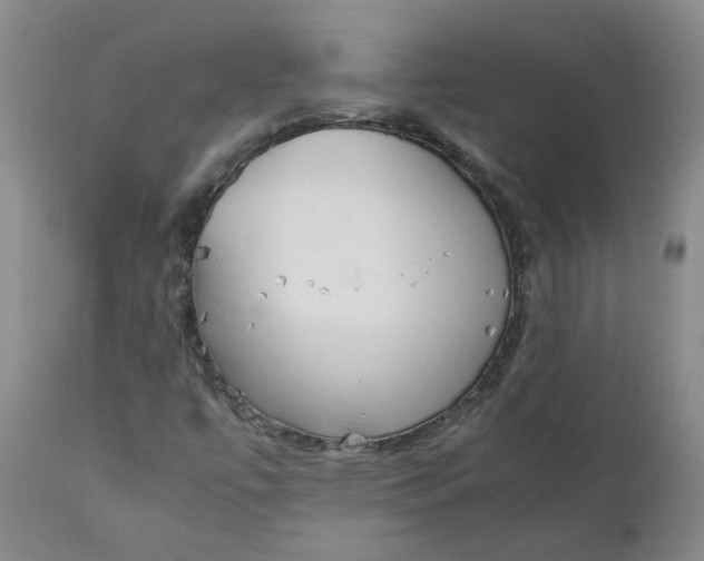 X0000111251447200907161355