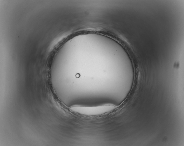 X0000111251448200907161355