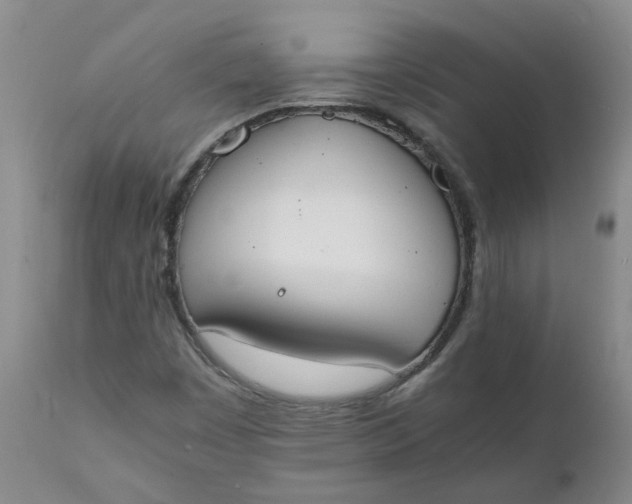 X0000111251449200907161355