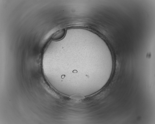 X0000111251450200907161355