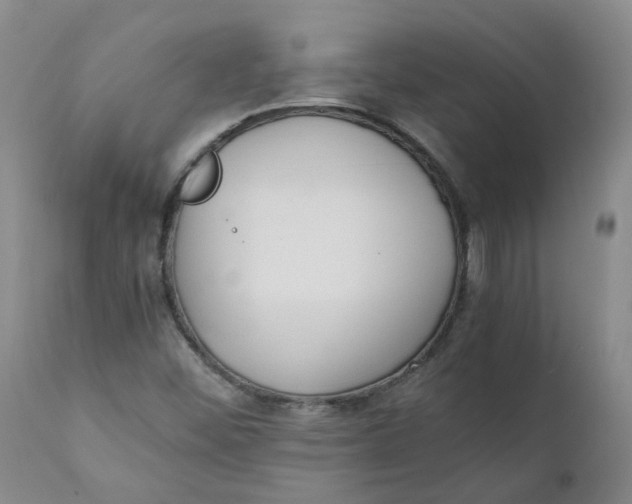 X0000111251452200907161355