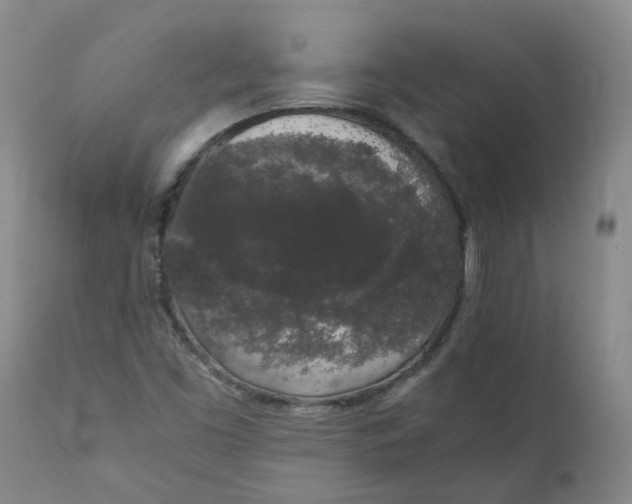 X0000111251453200907161355