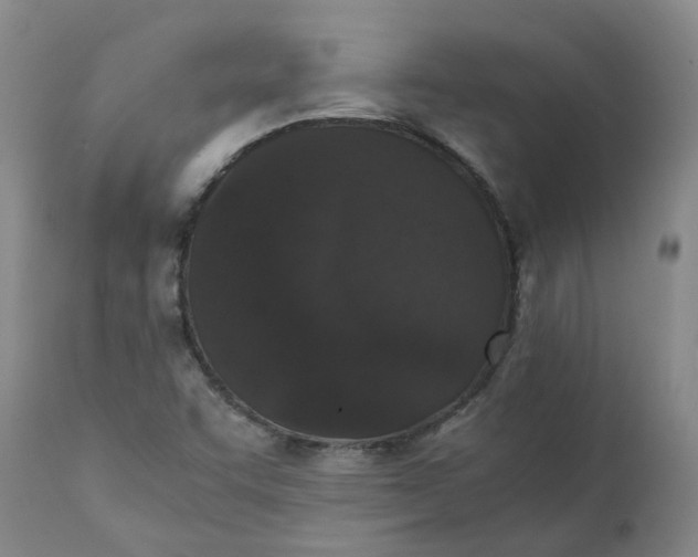 X0000111251455200907161355