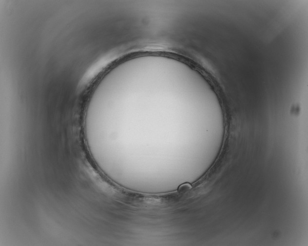 X0000111251456200907161355