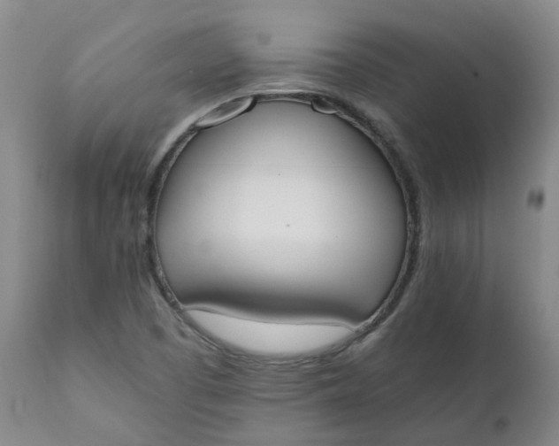 X0000111251457200907161355