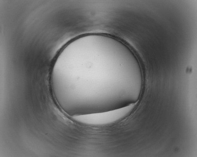 X0000111251460200907161355