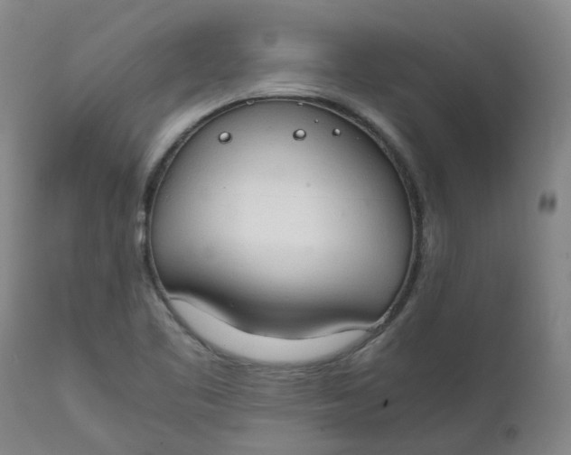 X0000111251461200907161355