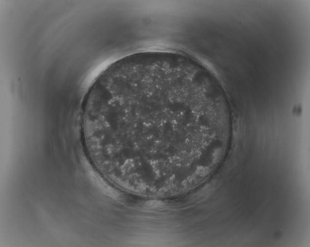 X0000111251463200907161355