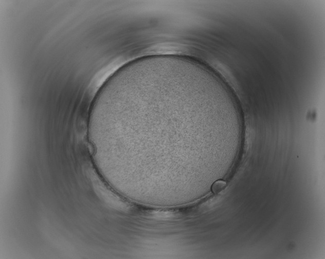 X0000111251465200907161355