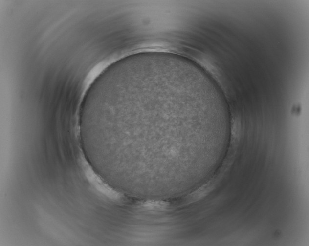 X0000111251466200907161355