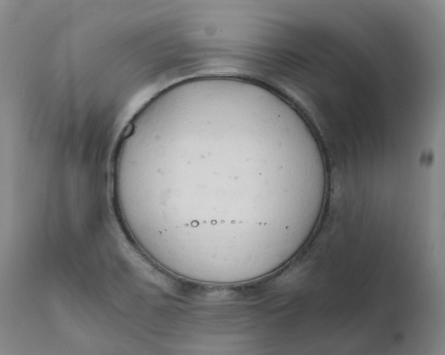 X0000111251467200907161355