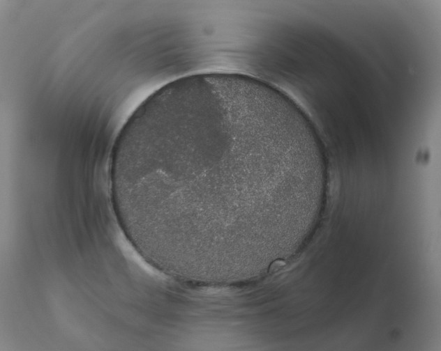 X0000111251468200907161355