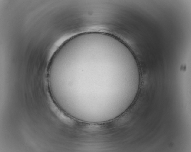 X0000111251470200907161354