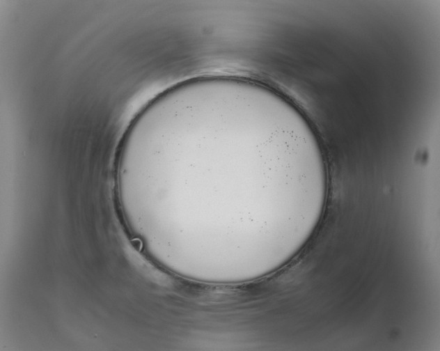 X0000111251471200907161354