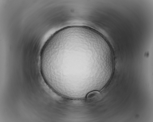 X0000111251472200907161354