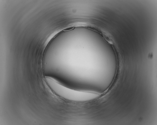 X0000111251473200907161354