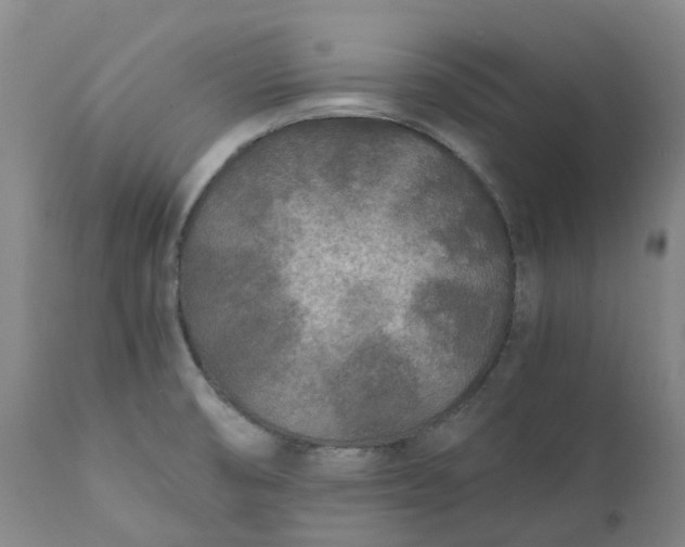 X0000111251474200907161354