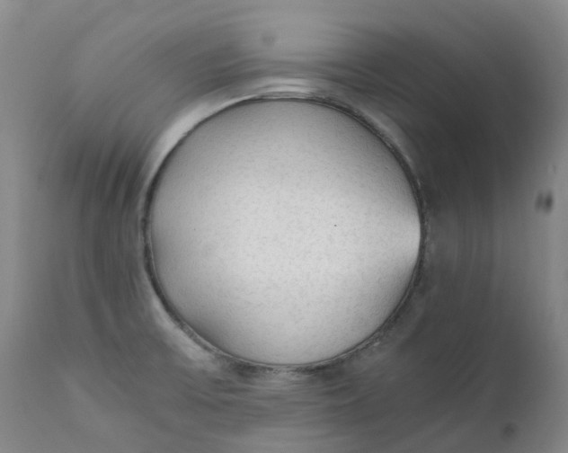 X0000111251475200907161354