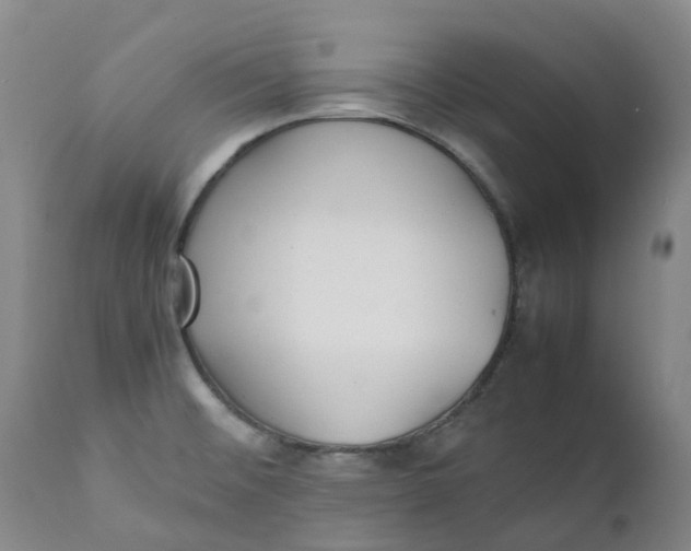 X0000111251476200907161354