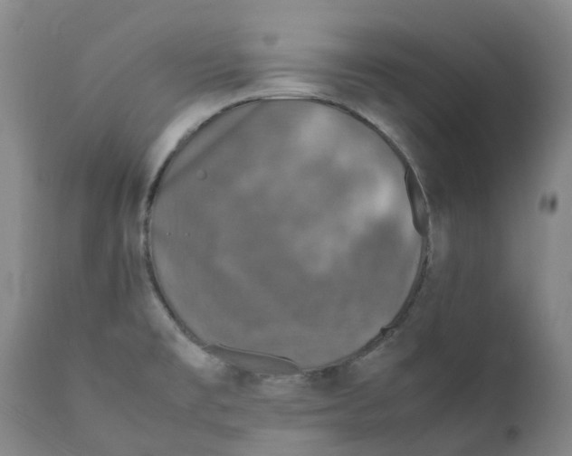 X0000111251477200907161354