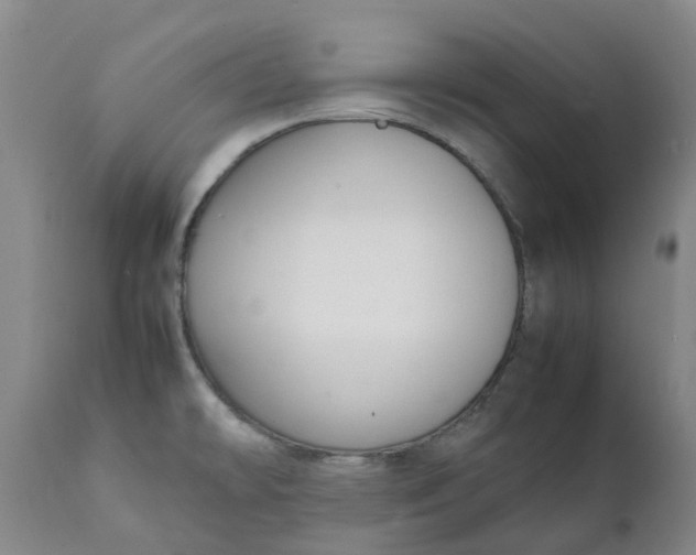 X0000111251478200907161354