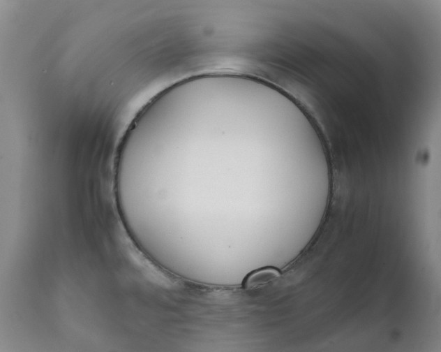 X0000111251480200907161354