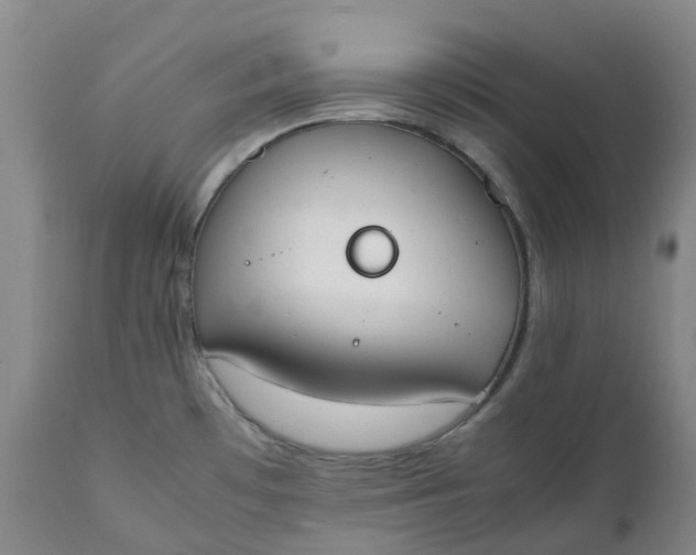 X0000111251481200907161354