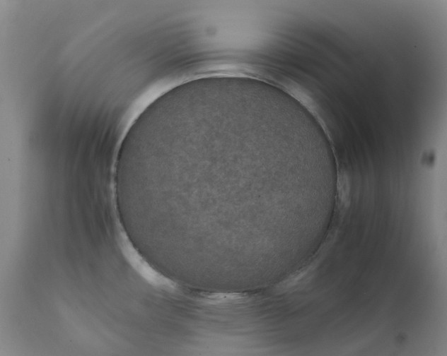 X0000111251482200907161354