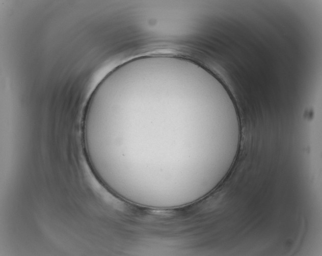 X0000111251483200907161354