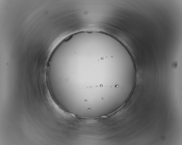 X0000111251484200907161354