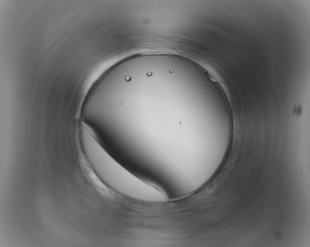 X0000111251485200907161354