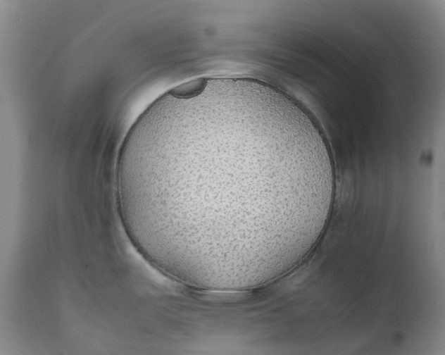 X0000111251487200907161354