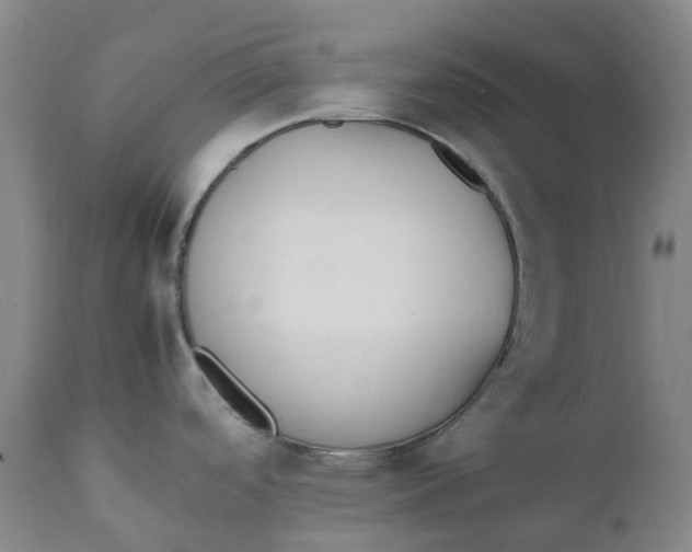 X0000111251488200907161354